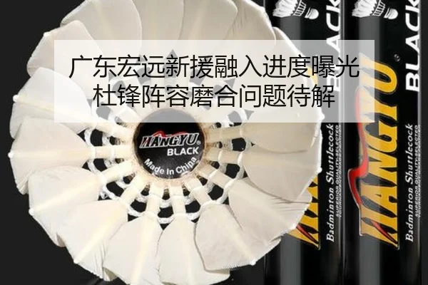 广东宏远新援融入进度曝光 杜锋阵容磨合问题待解